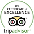 tripadvisor