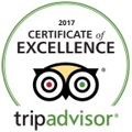 tripadvisor