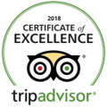 tripadvisor