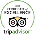 tripadvisor