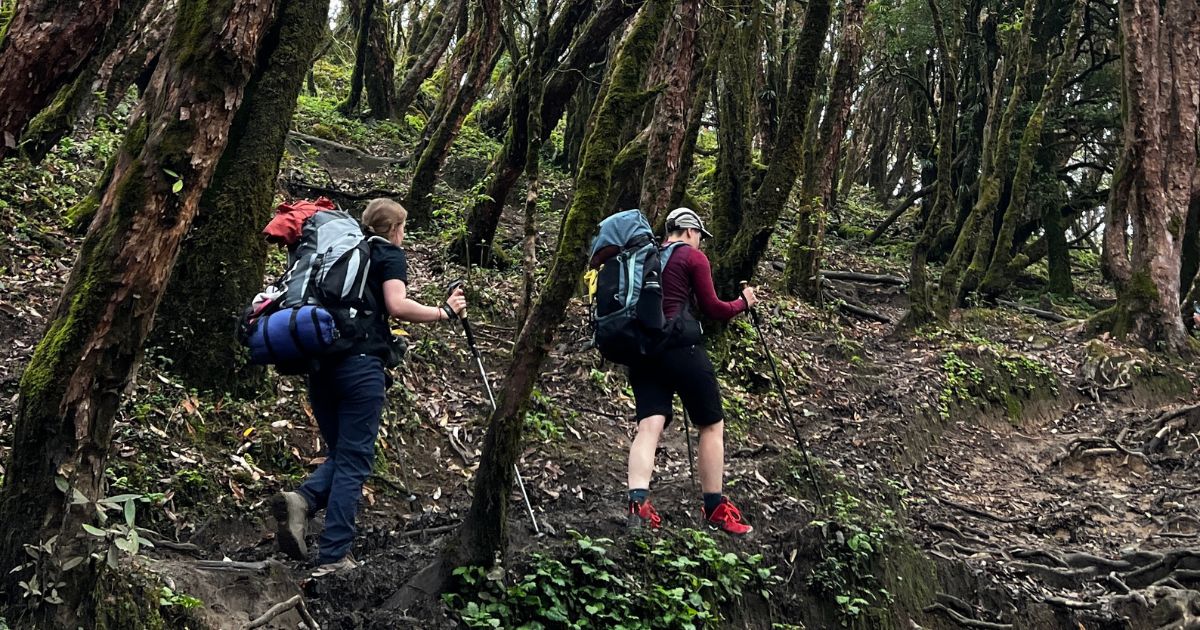 Trekkers walking through the jungle