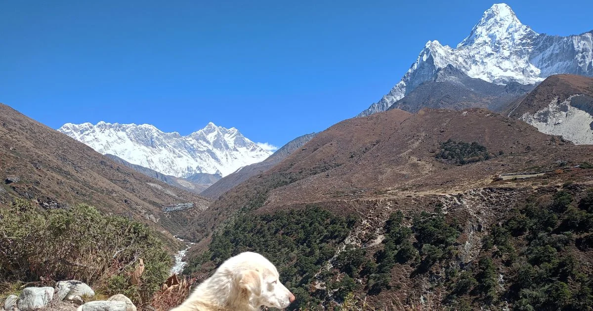 On the way to Tengboche mountain view of mt Amadablam