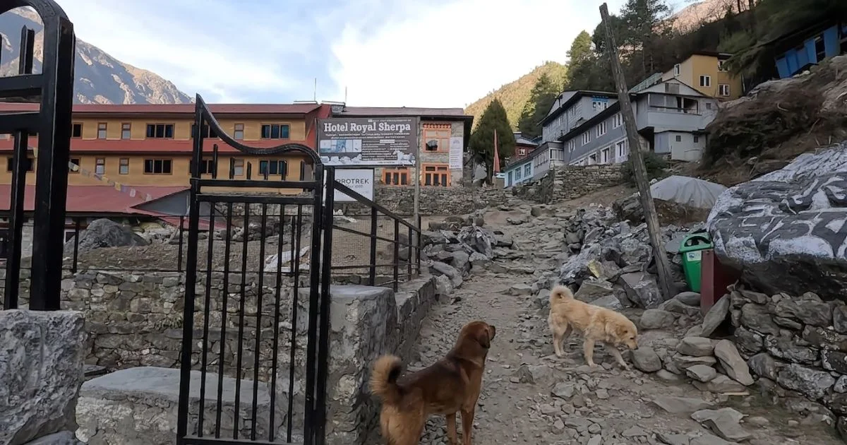 Accommodation in Phakding village