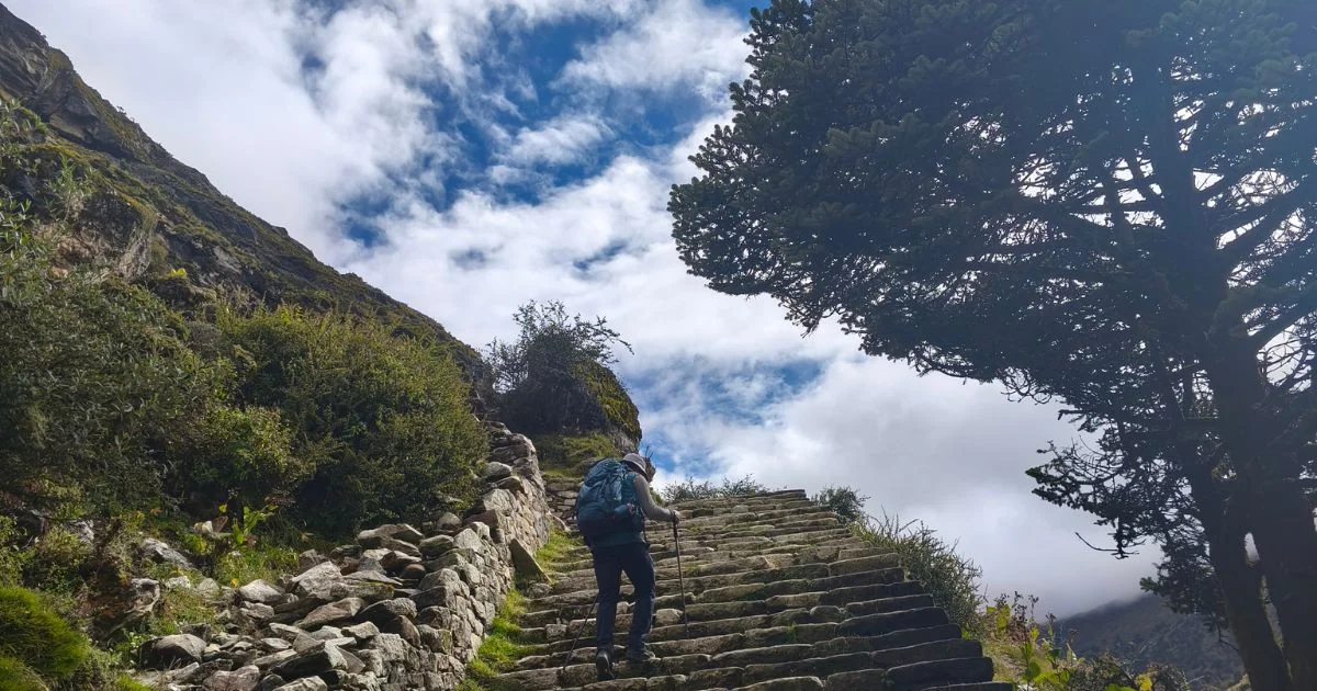 Travellers walking on the trekking route in everest region