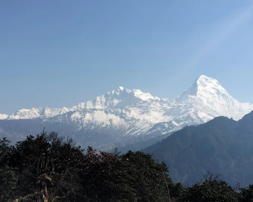 Mount Annapurna South With 