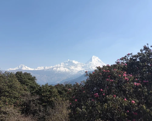 National Flawors Poon Hill